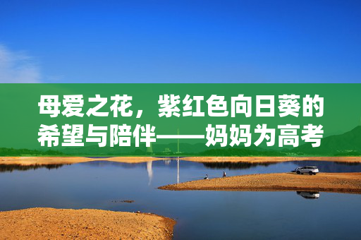 母爱之花，紫红色向日葵的希望与陪伴——妈妈为高考儿子种下的力量