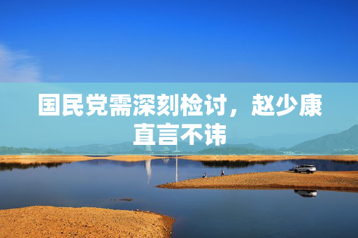 国民党需深刻检讨，赵少康直言不讳
