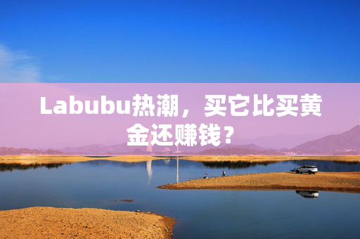 Labubu热潮，买它比买黄金还赚钱？