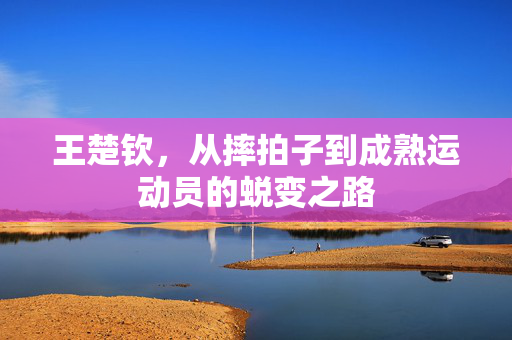 王楚钦，从摔拍子到成熟运动员的蜕变之路