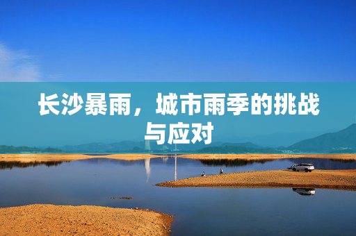 长沙暴雨，城市雨季的挑战与应对