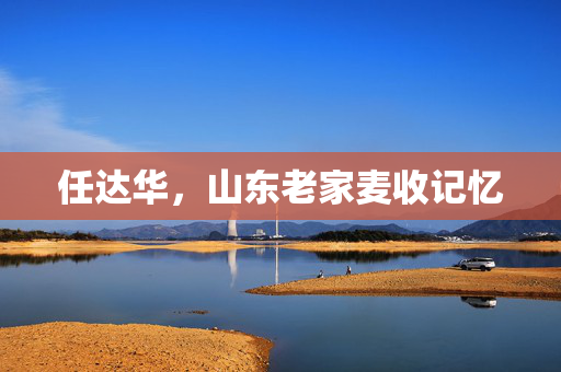 任达华，山东老家麦收记忆