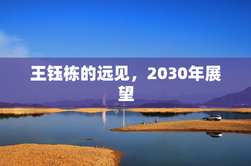 王钰栋的远见，2030年展望