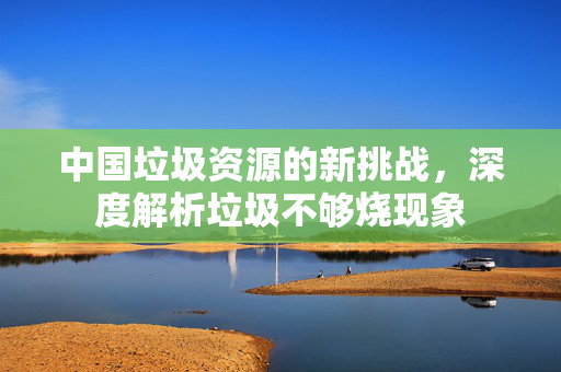 中国垃圾资源的新挑战，深度解析垃圾不够烧现象