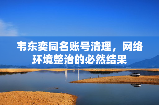 韦东奕同名账号清理，网络环境整治的必然结果