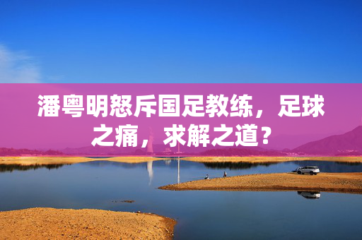 潘粤明怒斥国足教练，足球之痛，求解之道？