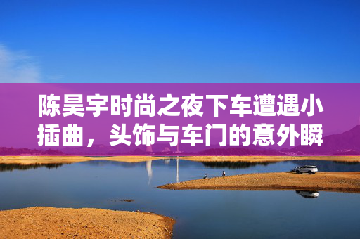 陈昊宇时尚之夜下车遭遇小插曲，头饰与车门的意外瞬间