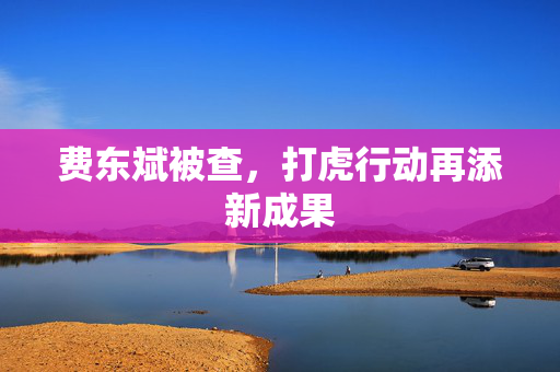 费东斌被查，打虎行动再添新成果