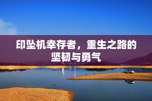 印坠机幸存者，重生之路的坚韧与勇气