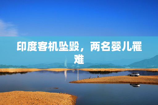 印度客机坠毁，两名婴儿罹难