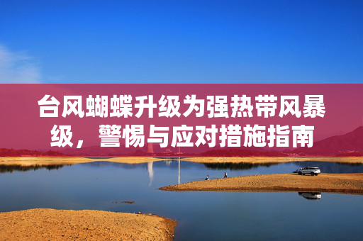 台风蝴蝶升级为强热带风暴级，警惕与应对措施指南