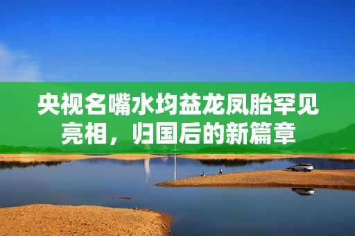 央视名嘴水均益龙凤胎罕见亮相，归国后的新篇章