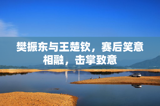 樊振东与王楚钦，赛后笑意相融，击掌致意
