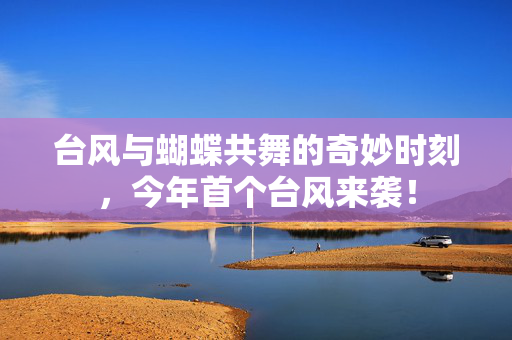 台风与蝴蝶共舞的奇妙时刻，今年首个台风来袭！
