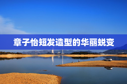 章子怡短发造型的华丽蜕变