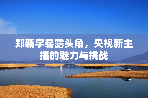郑新宇崭露头角，央视新主播的魅力与挑战