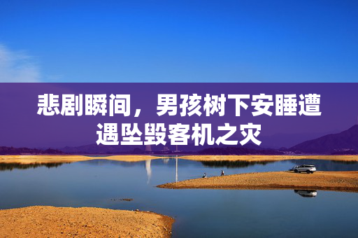 悲剧瞬间，男孩树下安睡遭遇坠毁客机之灾