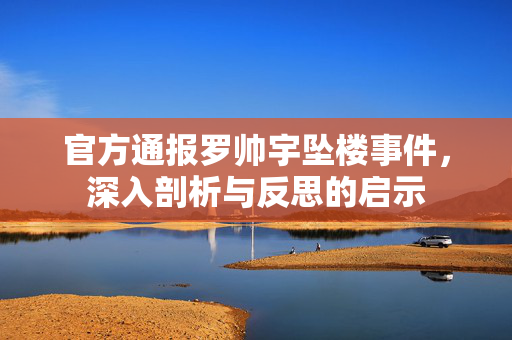 官方通报罗帅宇坠楼事件，深入剖析与反思的启示