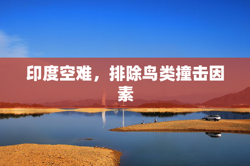 印度空难，排除鸟类撞击因素