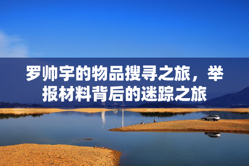 罗帅宇的物品搜寻之旅，举报材料背后的迷踪之旅