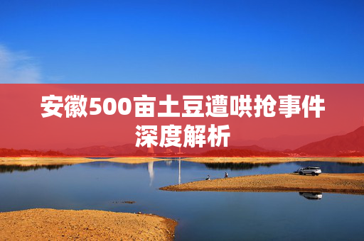 安徽500亩土豆遭哄抢事件深度解析