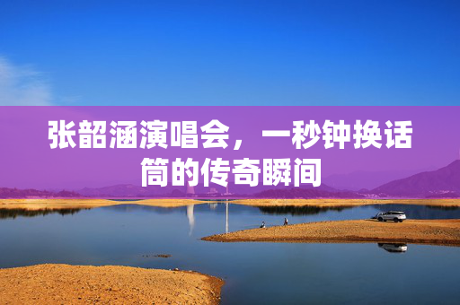 张韶涵演唱会，一秒钟换话筒的传奇瞬间