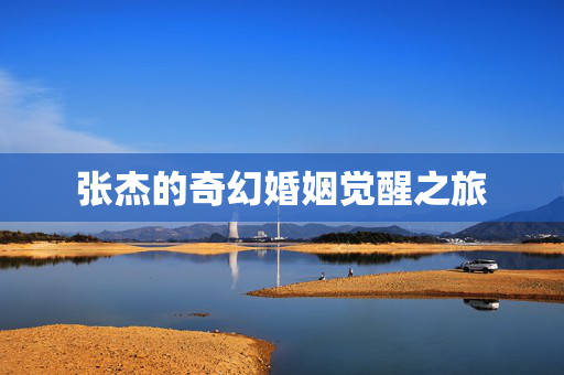 张杰的奇幻婚姻觉醒之旅