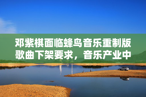 邓紫棋面临蜂鸟音乐重制版歌曲下架要求，音乐产业中的版权与责任