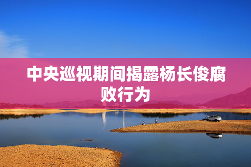 中央巡视期间揭露杨长俊腐败行为