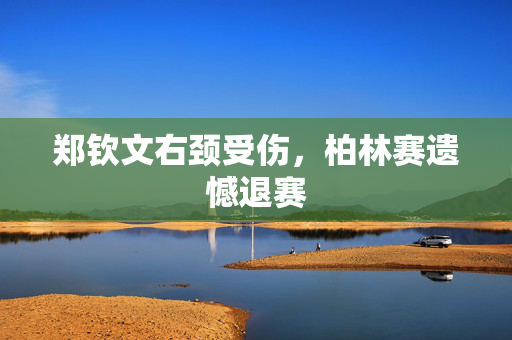 郑钦文右颈受伤，柏林赛遗憾退赛