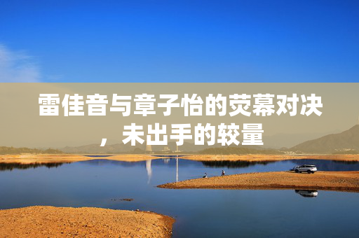 雷佳音与章子怡的荧幕对决，未出手的较量