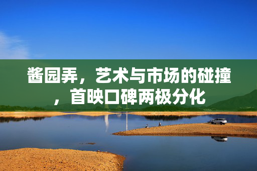 酱园弄，艺术与市场的碰撞，首映口碑两极分化