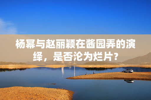 杨幂与赵丽颖在酱园弄的演绎，是否沦为烂片？