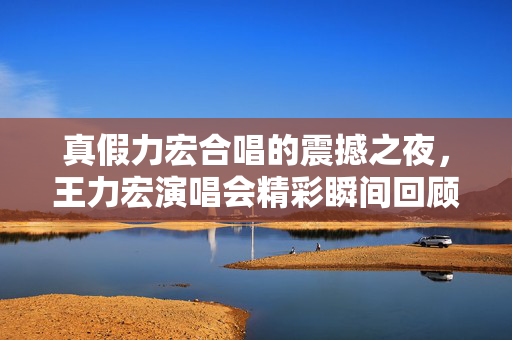 真假力宏合唱的震撼之夜，王力宏演唱会精彩瞬间回顾