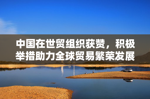 中国在世贸组织获赞，积极举措助力全球贸易繁荣发展