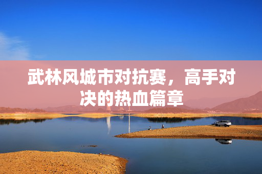 武林风城市对抗赛，高手对决的热血篇章