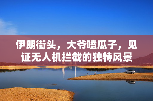 伊朗街头，大爷嗑瓜子，见证无人机拦截的独特风景