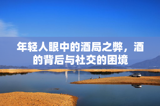 年轻人眼中的酒局之弊，酒的背后与社交的困境