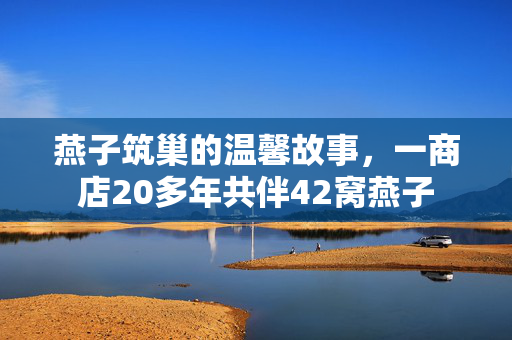 燕子筑巢的温馨故事，一商店20多年共伴42窝燕子