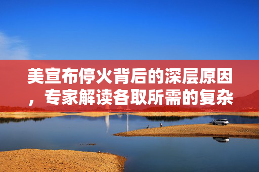 美宣布停火背后的深层原因，专家解读各取所需的复杂局面