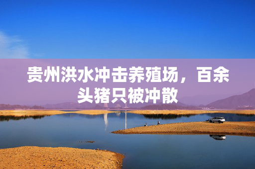 贵州洪水冲击养殖场，百余头猪只被冲散