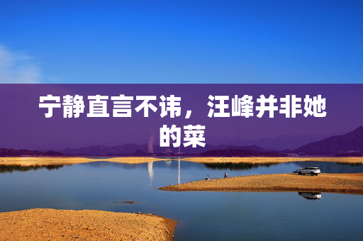 宁静直言不讳，汪峰并非她的菜