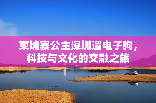 柬埔寨公主深圳遛电子狗，科技与文化的交融之旅