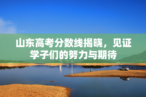 山东高考分数线揭晓，见证学子们的努力与期待
