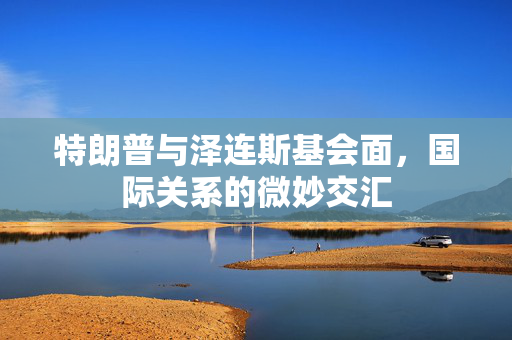 特朗普与泽连斯基会面，国际关系的微妙交汇