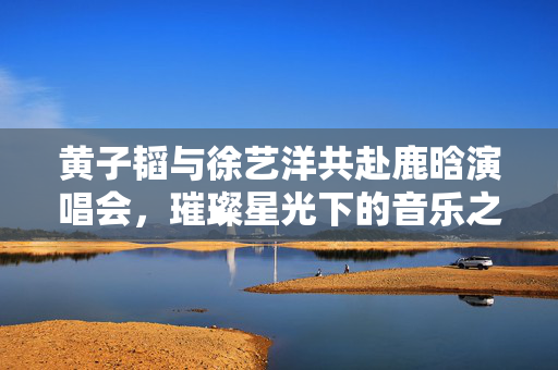 黄子韬与徐艺洋共赴鹿晗演唱会，璀璨星光下的音乐之夜