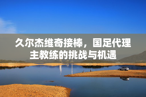 久尔杰维奇接棒，国足代理主教练的挑战与机遇