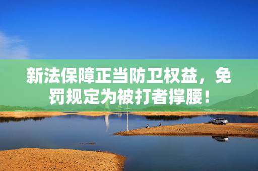 新法保障正当防卫权益，免罚规定为被打者撑腰！