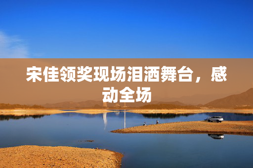 宋佳领奖现场泪洒舞台，感动全场