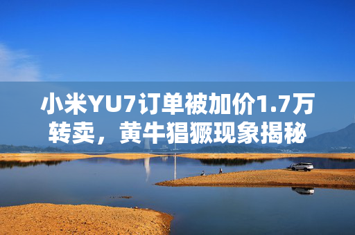 小米YU7订单被加价1.7万转卖，黄牛猖獗现象揭秘